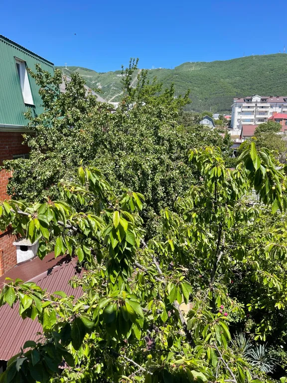 Квартира Комната — Геленджик