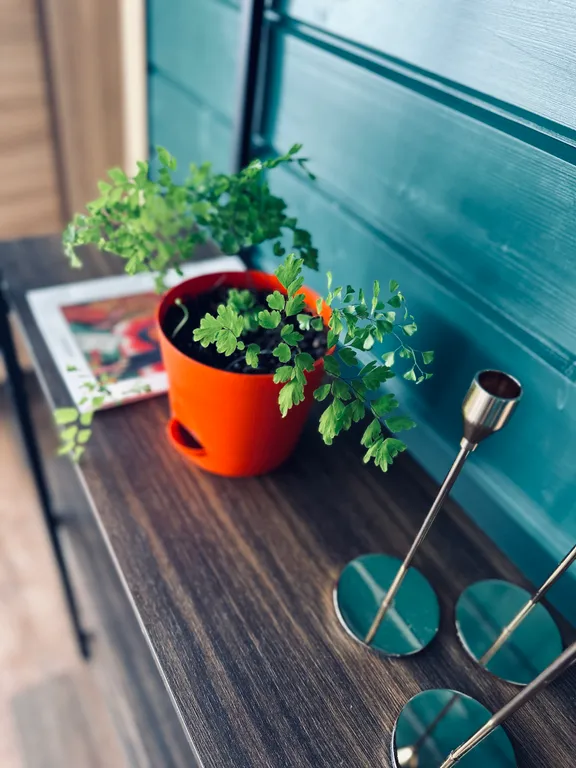 Новый дизайнерский дом с сауной и чаном