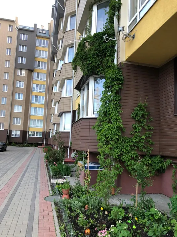 Квартира Апартаменты у озера — Зеленоградск