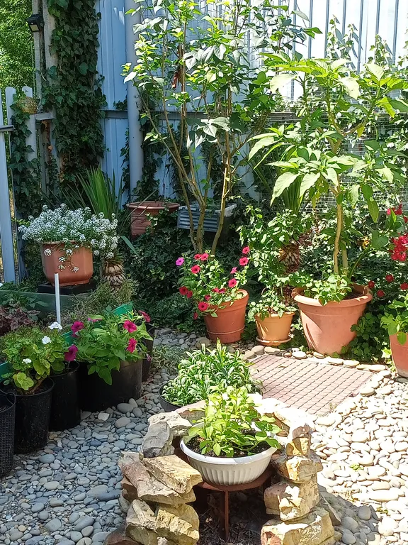 Коттедж Дом у моря в курортной зоне — Широкая Балка