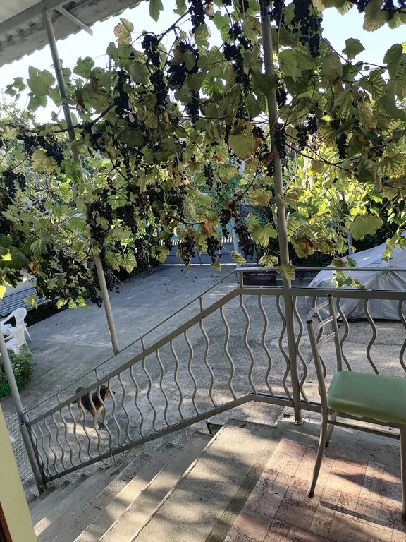 Коттедж 3-комнатный Дом — Гагра