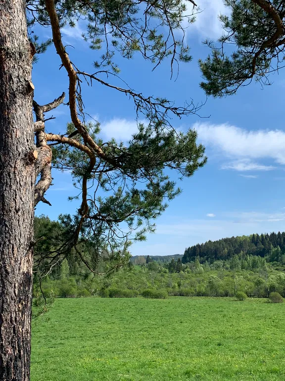 Хюгге микли