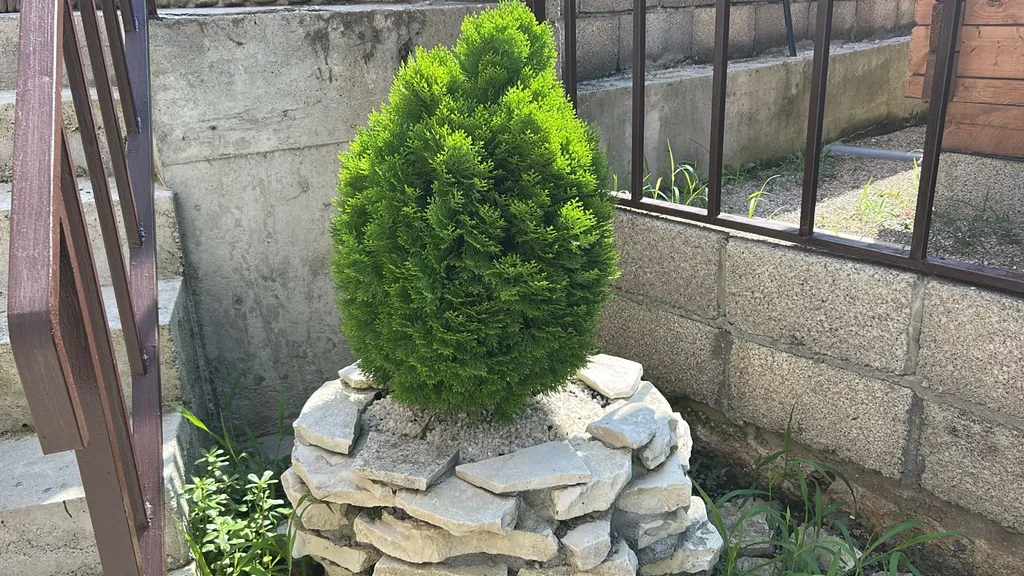 Эко-домик у моря Белые скалы