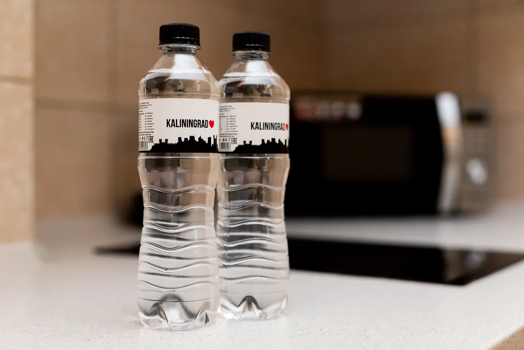 Квартира Уютная квартира недалеко от острова Канта — Калининград