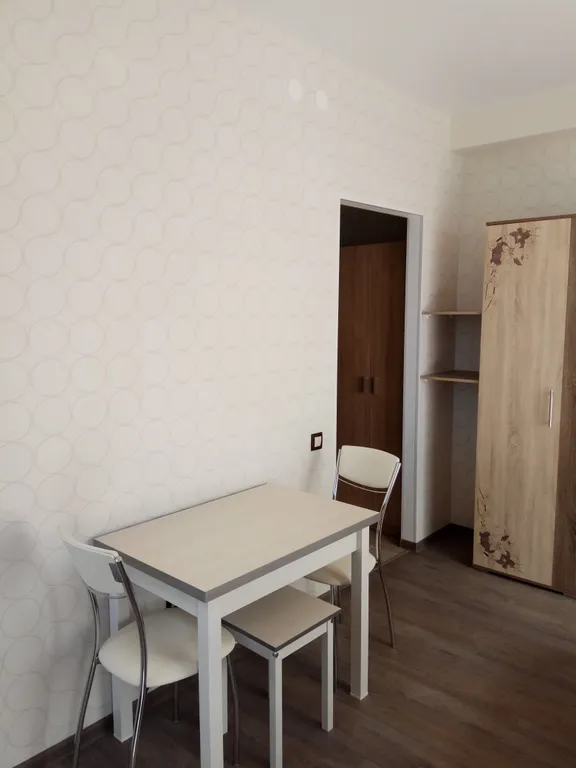 Квартира 1-комнатная Квартира — Сириус