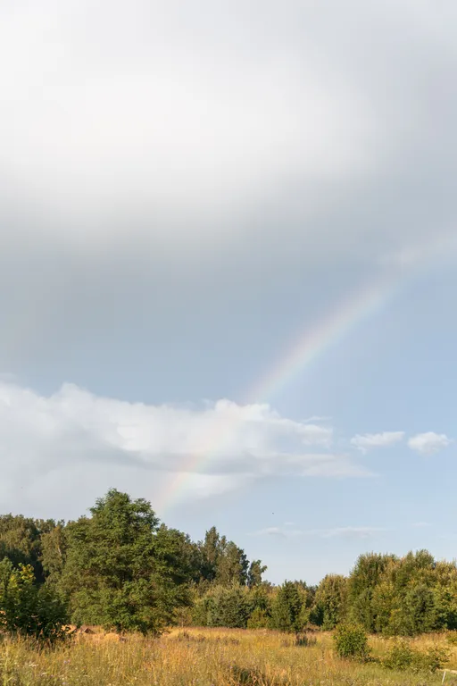 Papino village blue домик рядом с водопадом и лесом