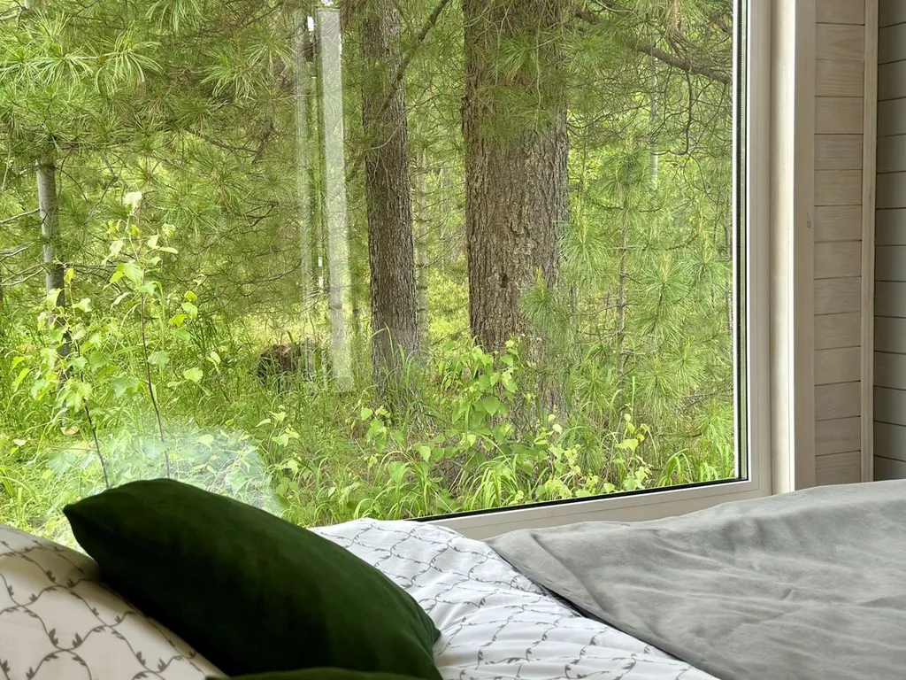 Домик в тихом и спокойном месте в окружении леса