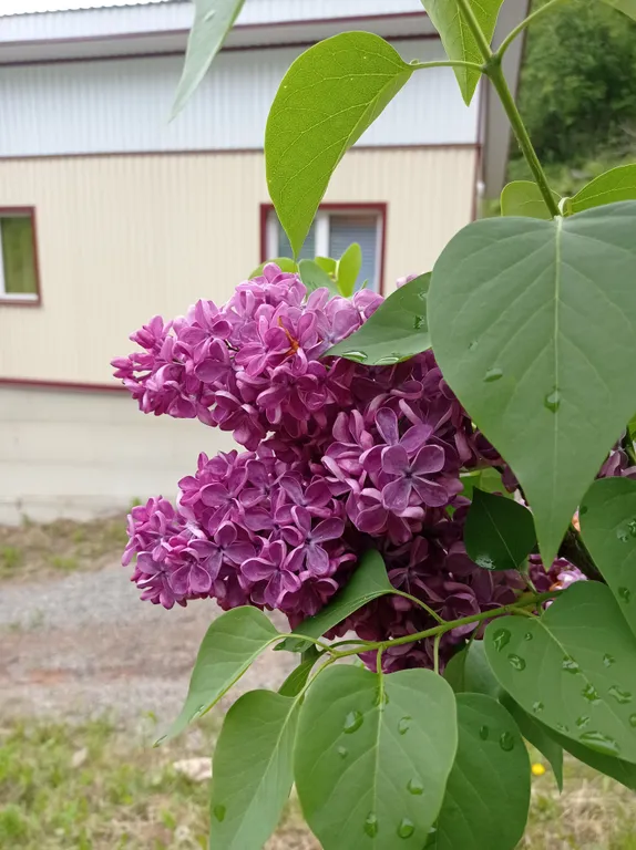 Гостевой Эко-дом