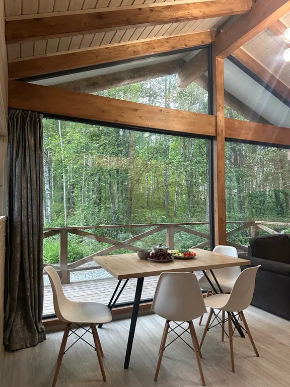 Дом с чаном и панорамными окнами с видом на лес