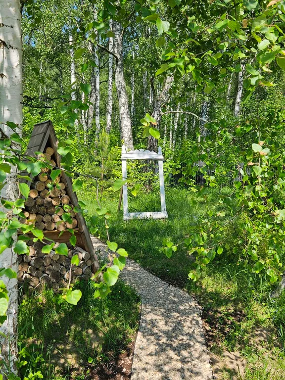 Красивые панорамные домики около леса