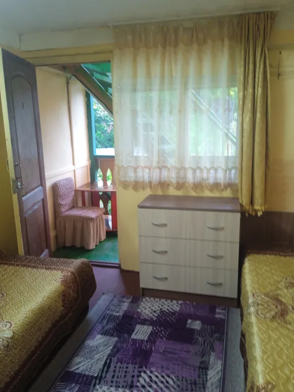 Частый сектор в лесном массиве