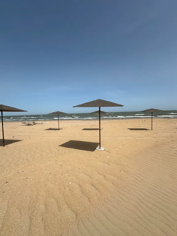 Дом из бруса на берегу моря с зоной барбекю и собственной парной