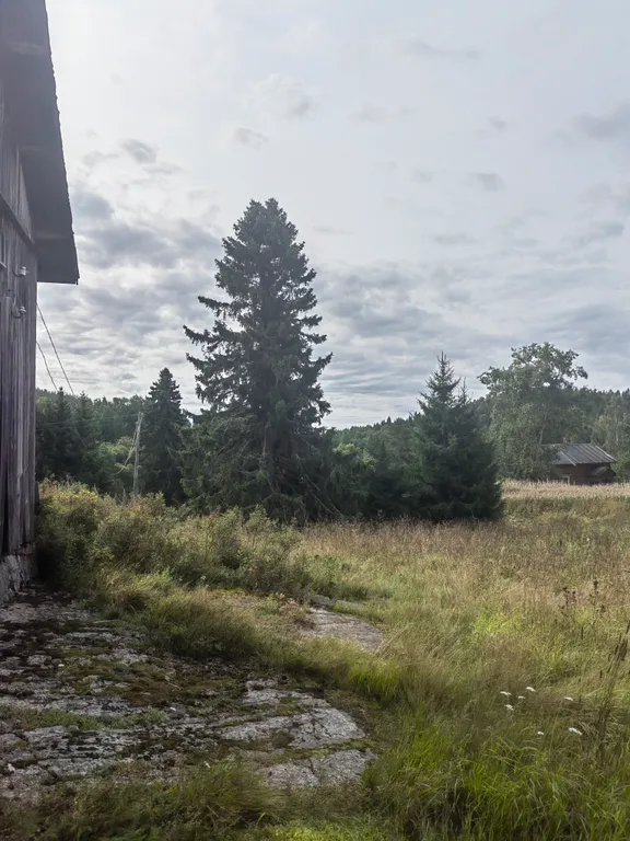 Рыбацкий хуторок