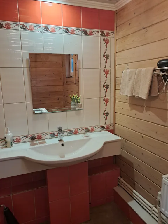 Дом-баня с бассейном