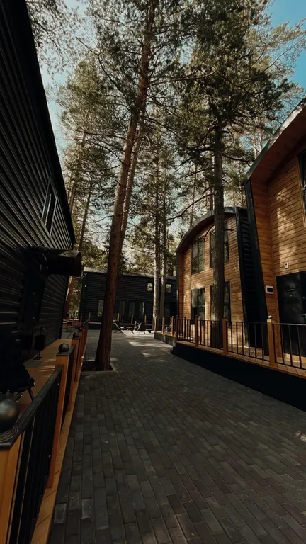 Апартаменты с панорамным с видом на лес