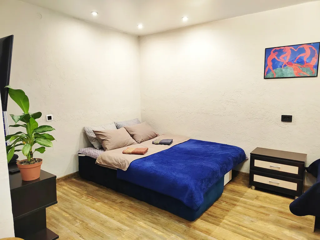 Уютная однокомнатная квартира рядом с аэропортом Толмачёво