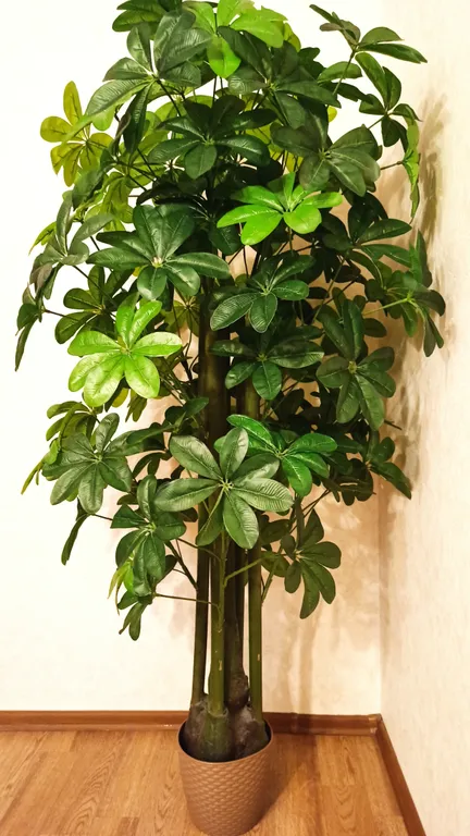 Квартира Квартира возле Зоопарка — Новосибирск