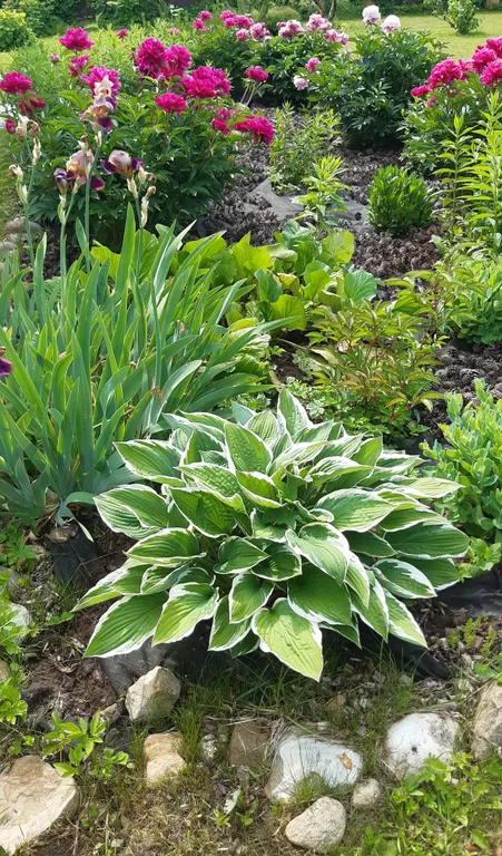 Уютный флигель