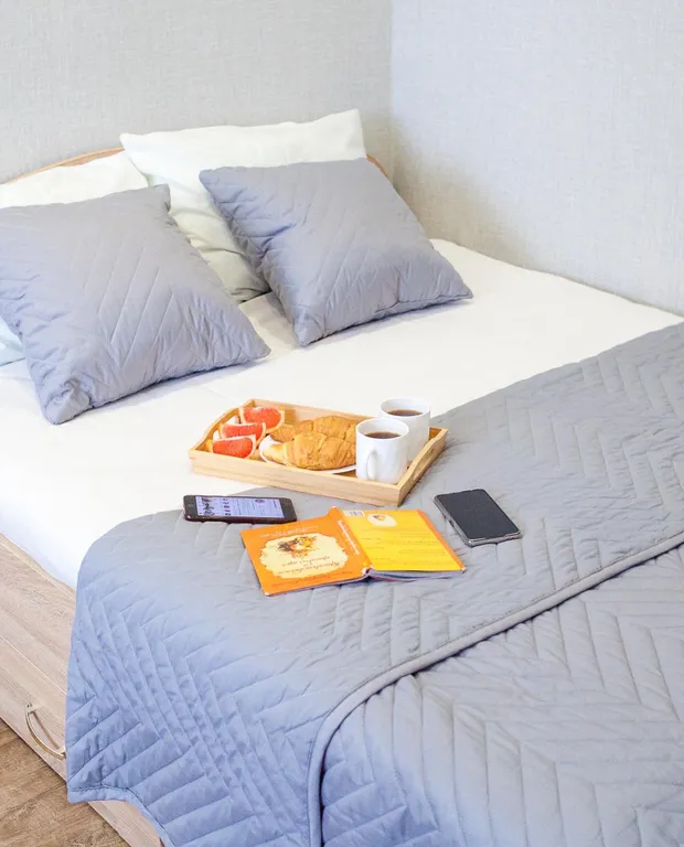 Квартира-студия Фламинго в центре города у цирка