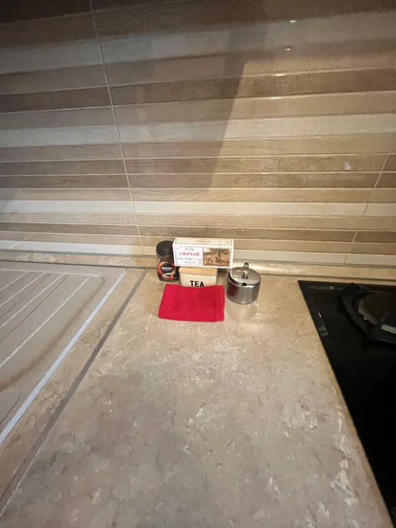 1-комнатный люкс на площади Ленина