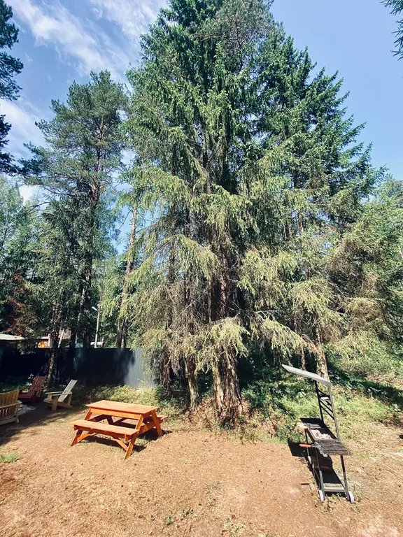 Дом A-frame с баней и джакузи под открытым небом в сосновом лесу