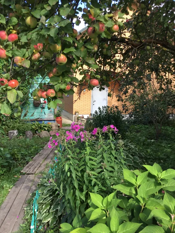 Коттедж Гостевой дом на Истринском водохранилище — Лопотово