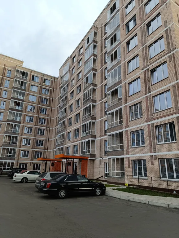 Еародвушка в центре города