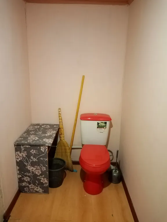 Уютный номер в частном секторе, с частичными удобствами, душ летний