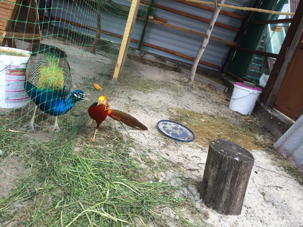 6-комнатный Дом