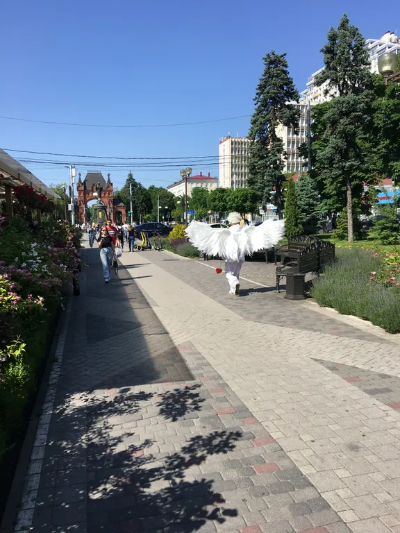 Квартира Уютная видовая квартира в самом центре — Краснодар