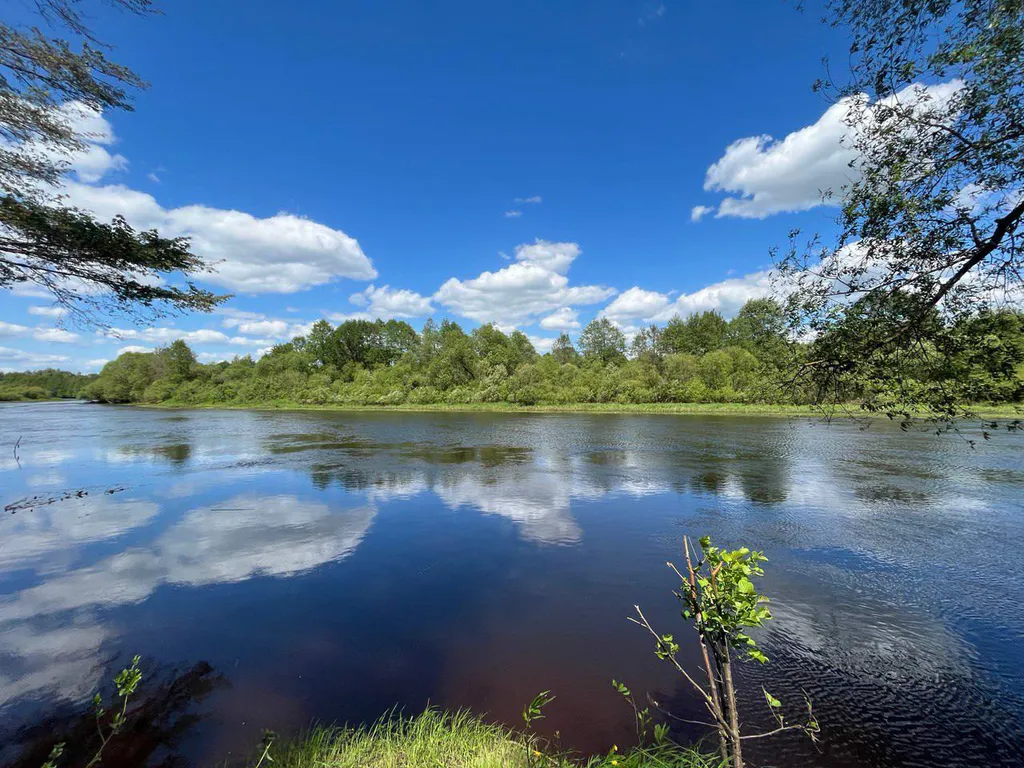 Дом-баня на высоком берегу Березины