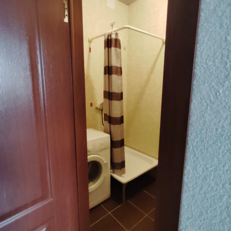 Студия в квартире с персональным санузлом и кухонным блоком