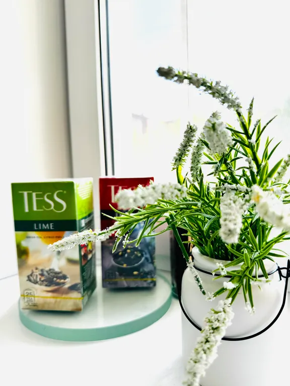 Предлагаю вам уютную солнечную квартиру