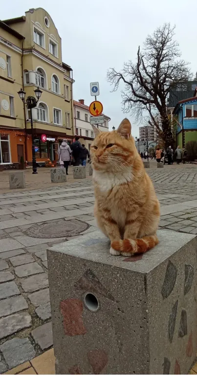 Уютная квартира с дизайнерским ремонтом