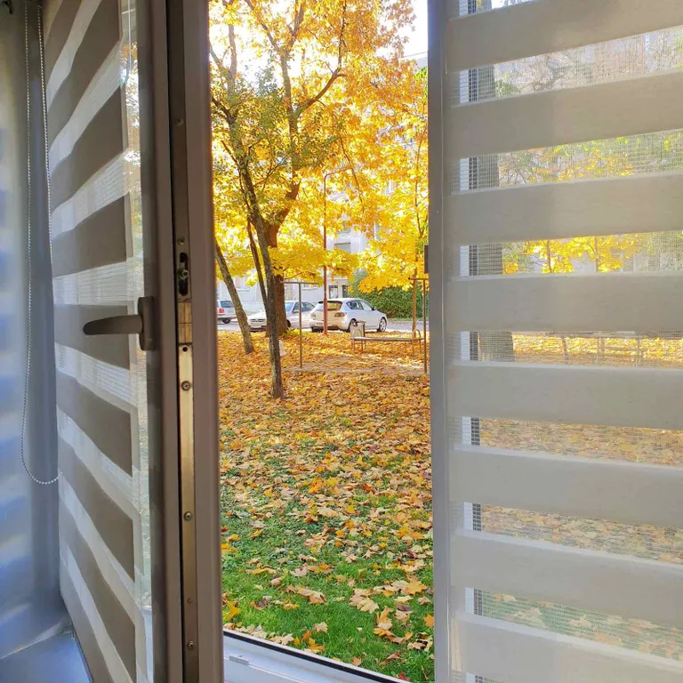 Уютная квартира и идеальный порядок