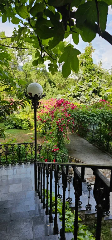 Солнце Ялты