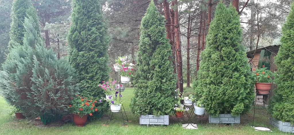 Домик у озера