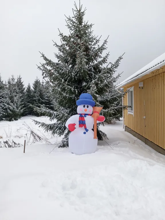 Дом в Карелии с печью-камином и видом на лес