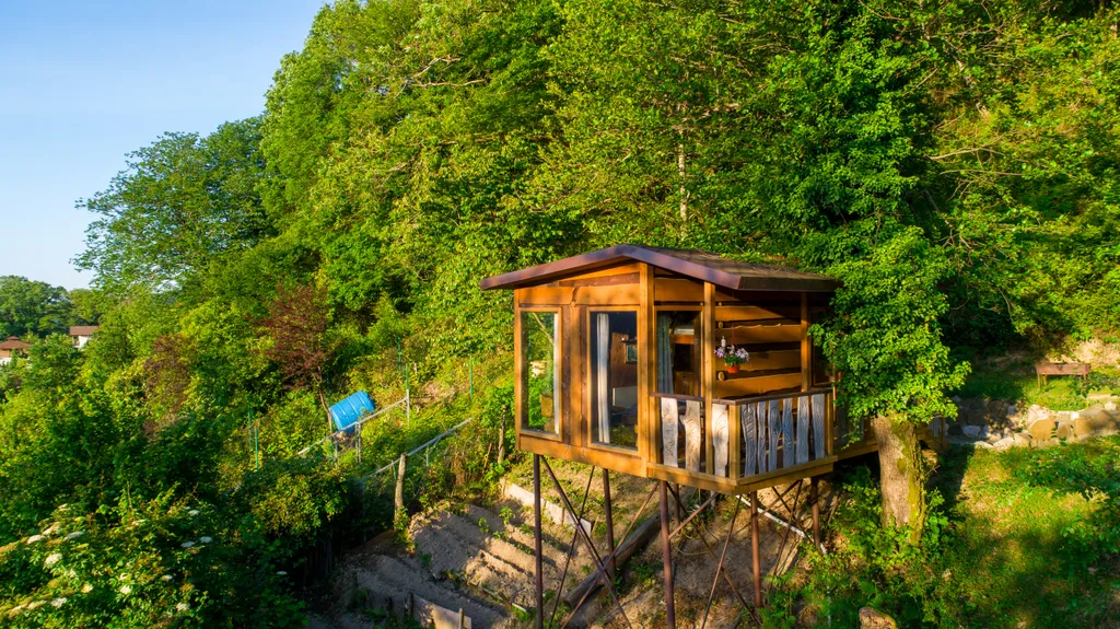 Глемпинг с видом на лес