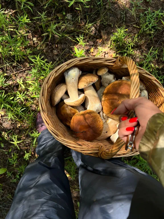 Дом с баней на берегу Волги