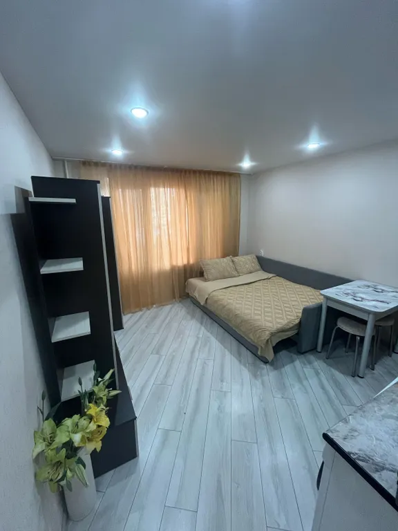 Уютная студия на Горках