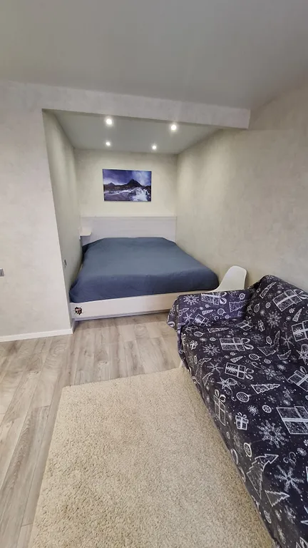 Уютная студия в центре города