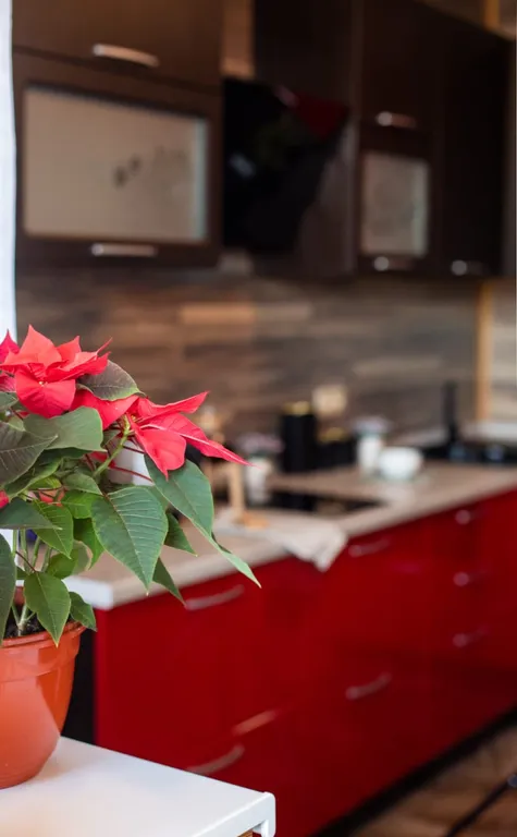 Квартира Уютная квартира — Тверь