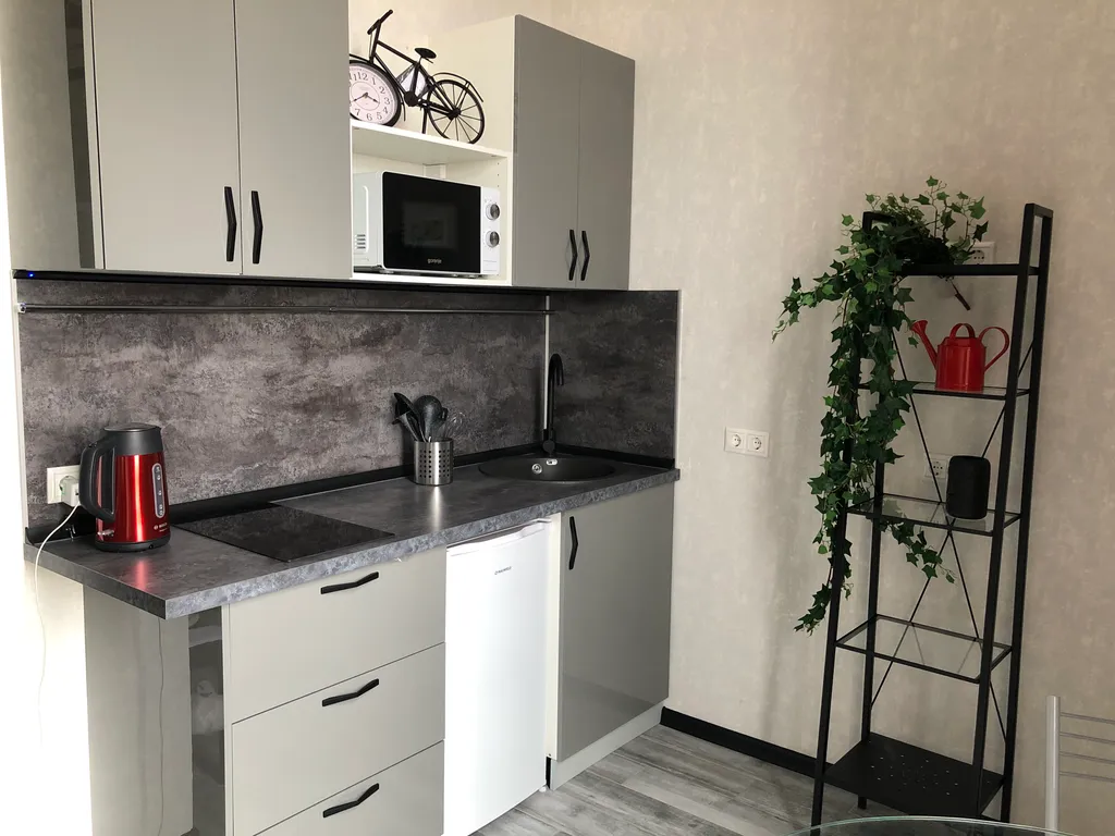 Стильный Лофт с качелями рядом с аэропортом Шереметьево