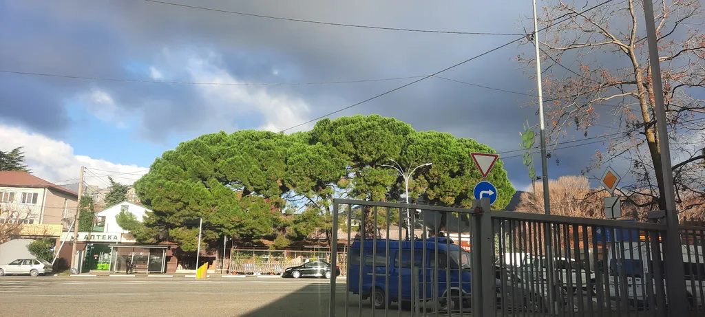 Квартира Уютная квартира в центре — Лазаревское