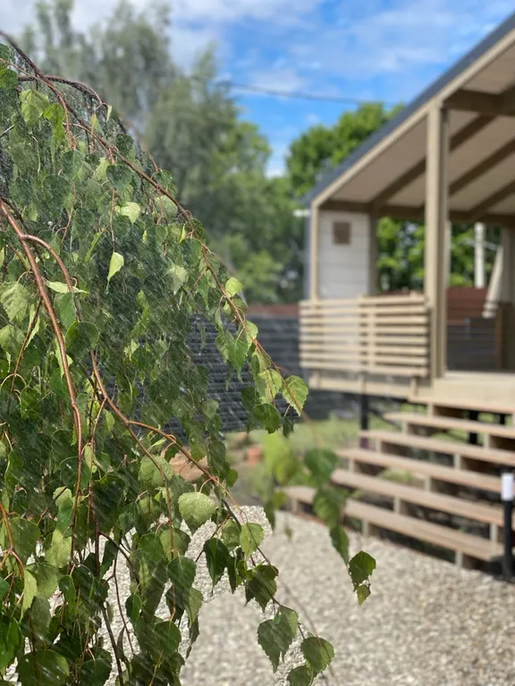 Коттедж Семейный дубльдом у пруда с баней и купелью в Новой Москве — Птичное