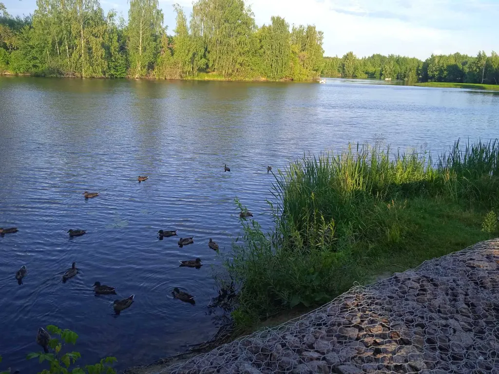 Квартира около зоопарка Лимпопо