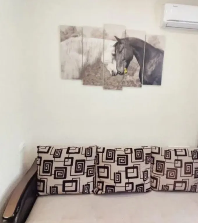 Стильные апартаменты в новом доме