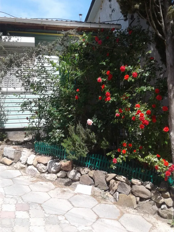 Коттедж Коттедж Апартаменты у моря — Алушта