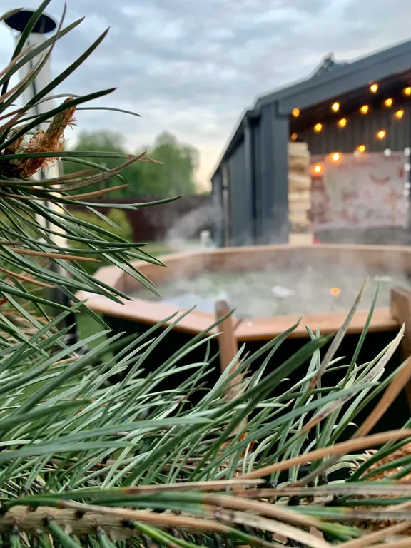 Коттедж Новый дизайнерский дом с сауной и чаном — аренда посуточно в Ступино